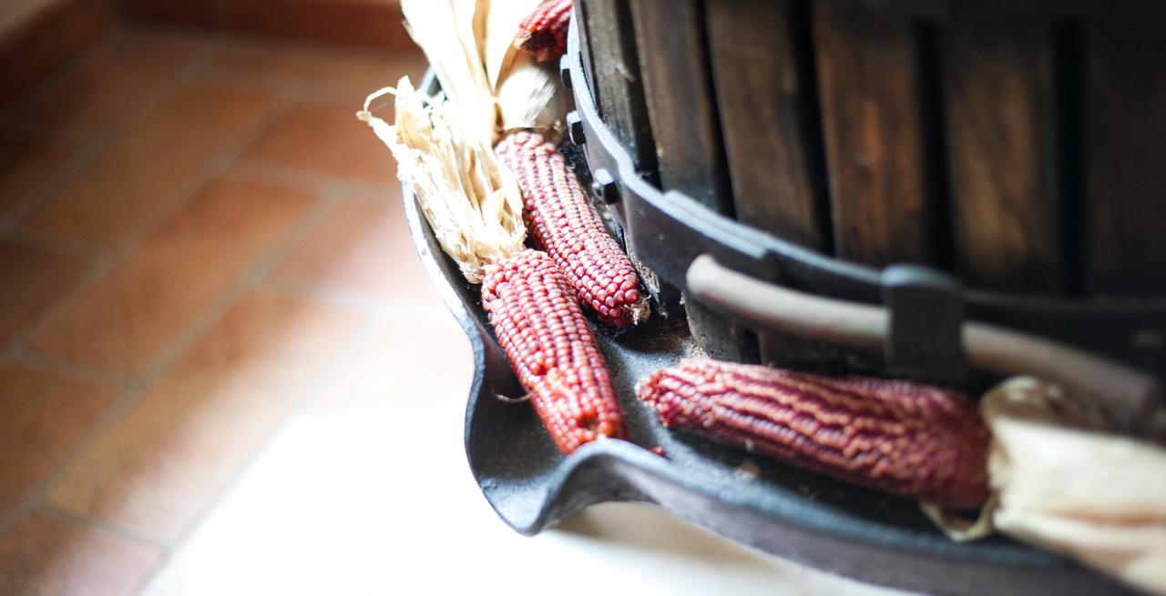 הוילה Crespino Agriturismo Principe Pio מראה חיצוני תמונה